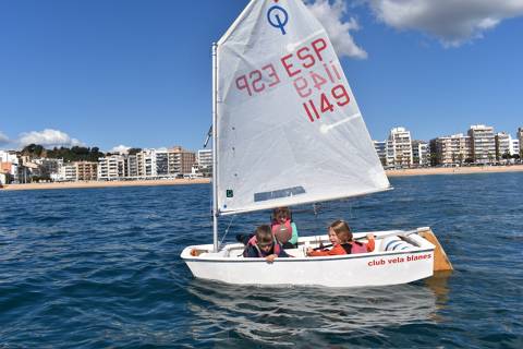 Summer Sea Camp 2026 (ages 5–9)